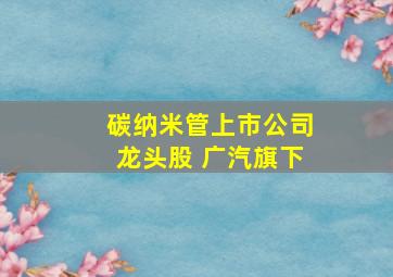 碳纳米管上市公司龙头股 广汽旗下